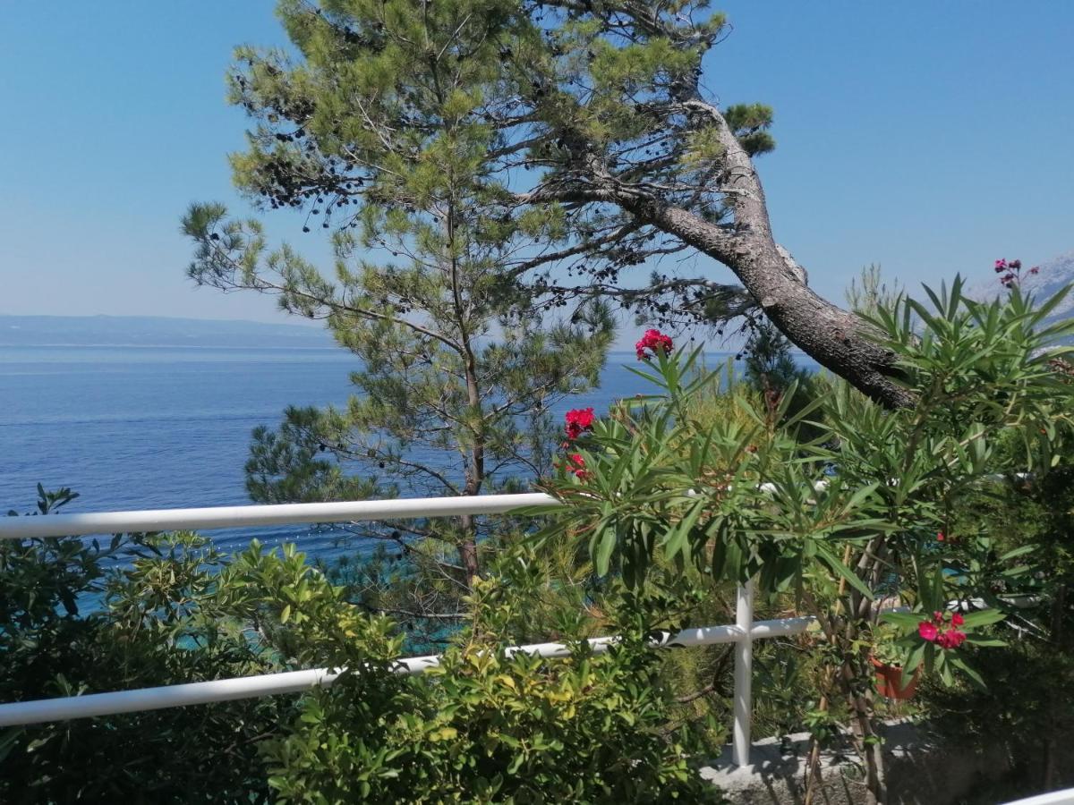 Apartmani Mares - 20 M From The Beach Brela Bagian luar foto