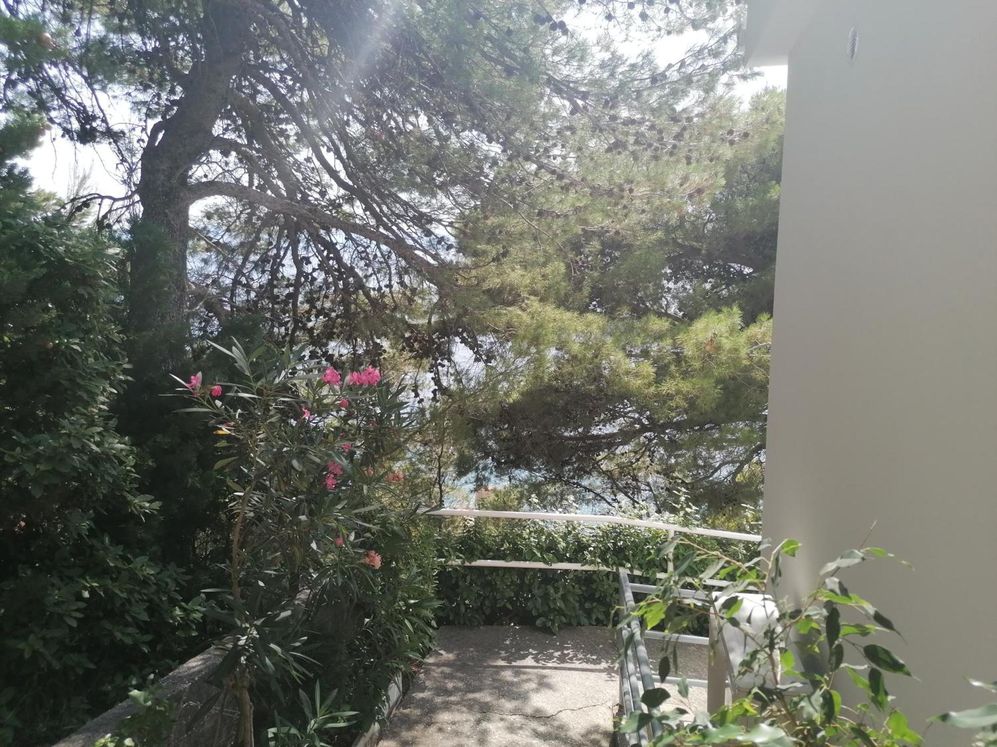 Apartmani Mares - 20 M From The Beach Brela Bagian luar foto